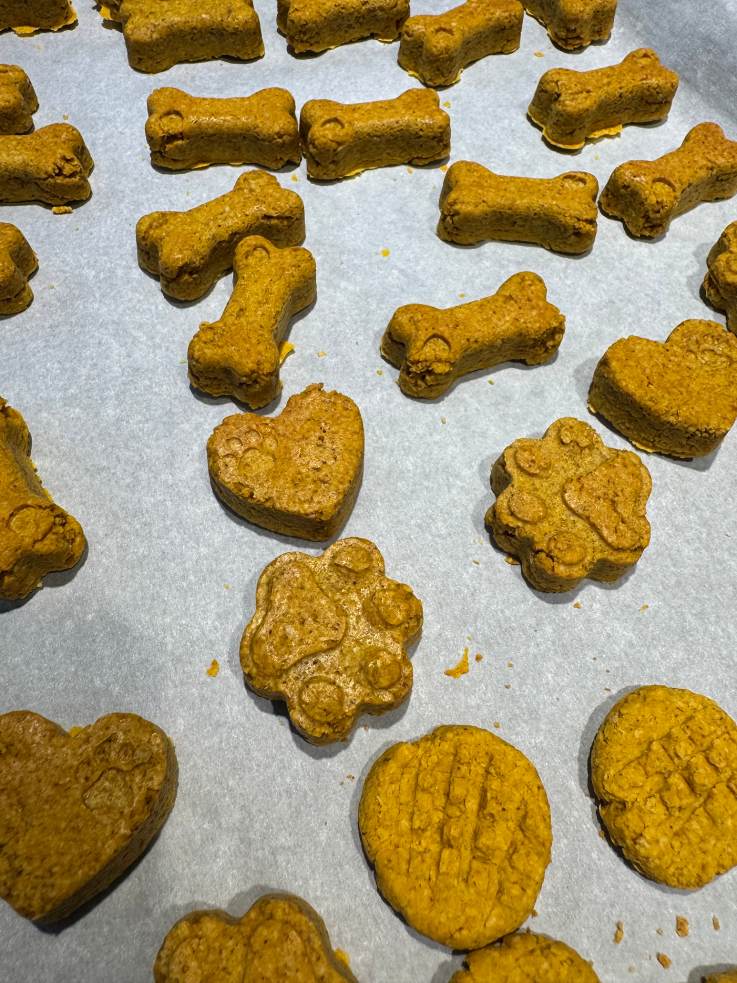Close-up of PB Crunchies in bone, heart and paw shapes on parchment